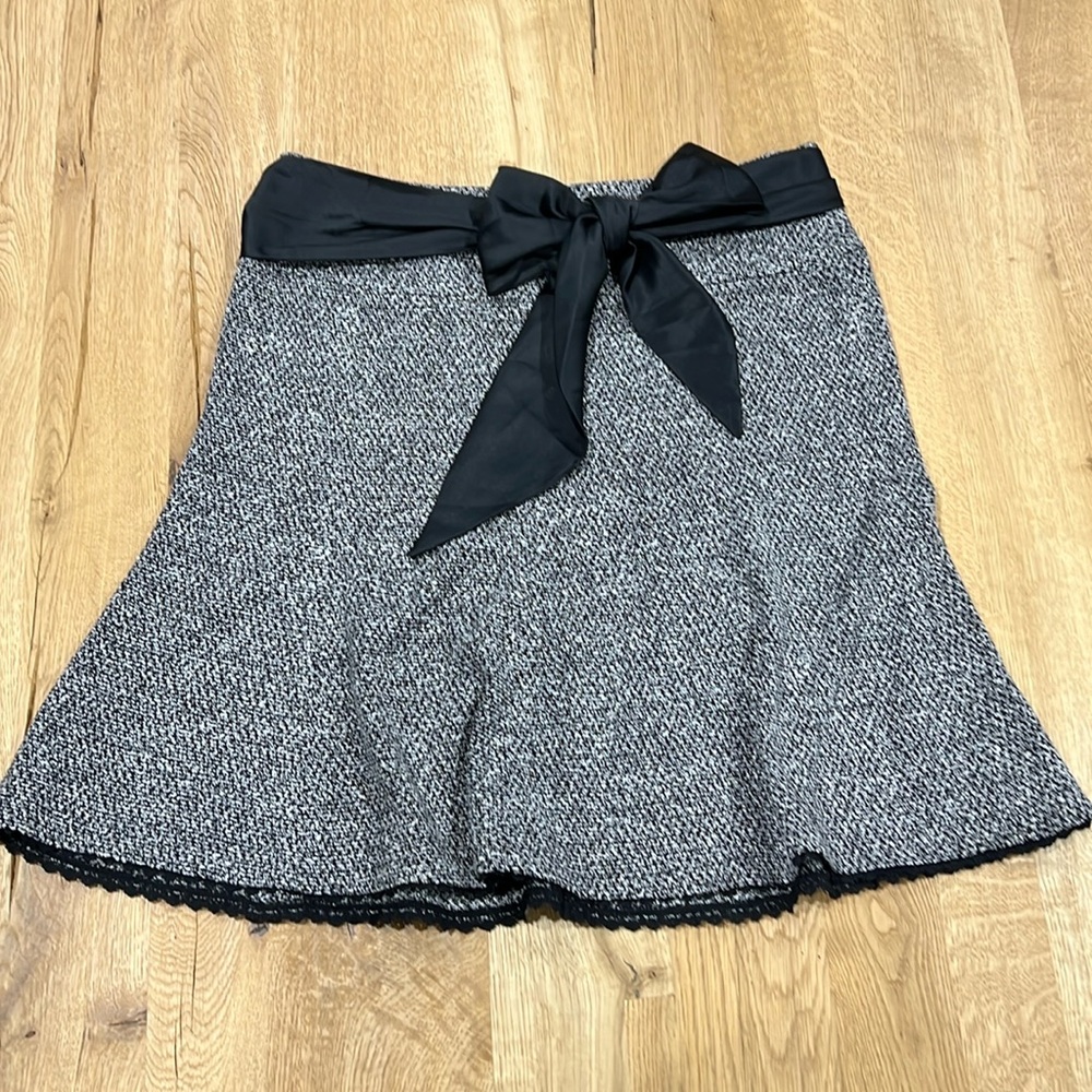 Express Skirt